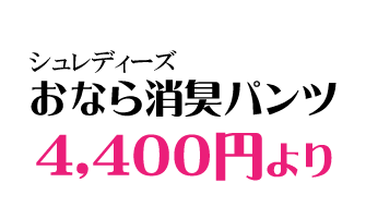 おなら消臭パンツと消音消臭クッション